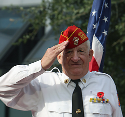 Veteran on Armistice Day