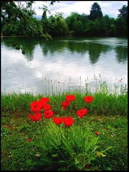 Grounds of Château Fontainebleau