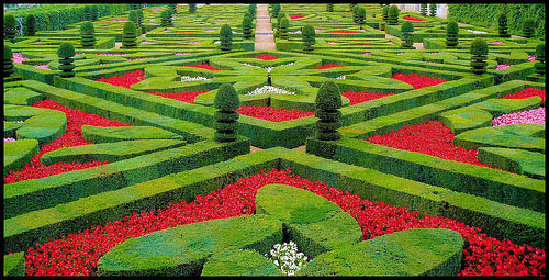 French garden at the Chateau de Villandry, France